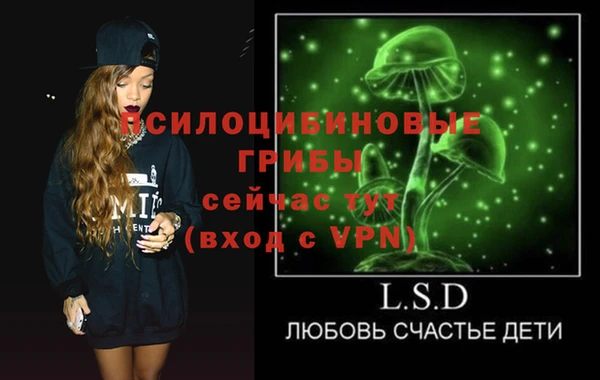 хмурый Алексин