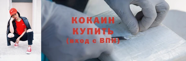 хмурый Алексин