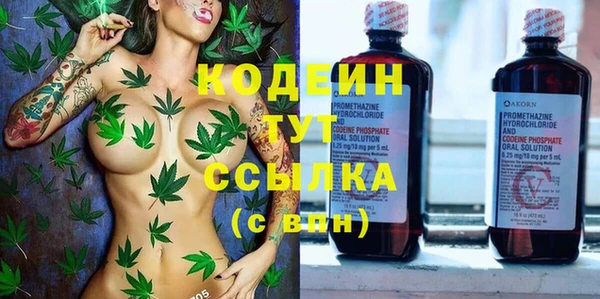 хмурый Алексин
