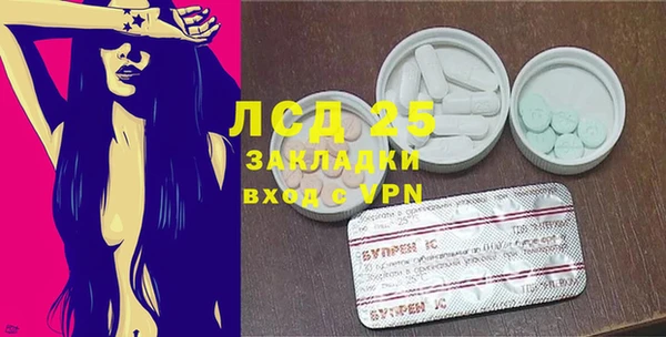 хмурый Алексин